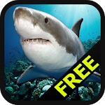 Cover Image of Download Shark Survivor 1.0.2 APK