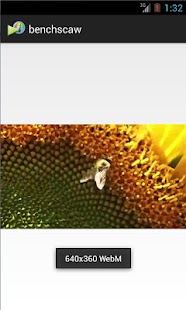 Free Benchscaw APK for PC