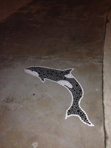 Killer Whale Mosaic On The Ground