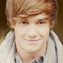 Liam Payne Wallpaper logo