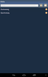 Hungarian Holy Bible poster 11