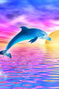 Dolphin Wallpaper 3D FREE Screenshots 14