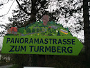 Panoramastraße zum Turmberg