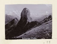 Schynige Platte
