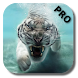 Tiger Pro