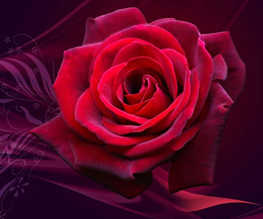 【免費個人化App】3D Rose Wallpaper-APP點子