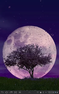 Spring Trees Live Wallpaper - screenshot thumbnail