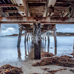 Lurking Under Jetties by Sharon Wills - Buildings & Architecture Bridges & Suspended Structures