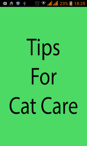 Tips For Cat Care