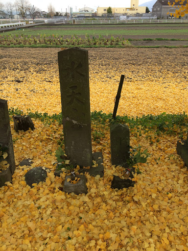 Portal - 北野町千代島の八幡宮 水天宮