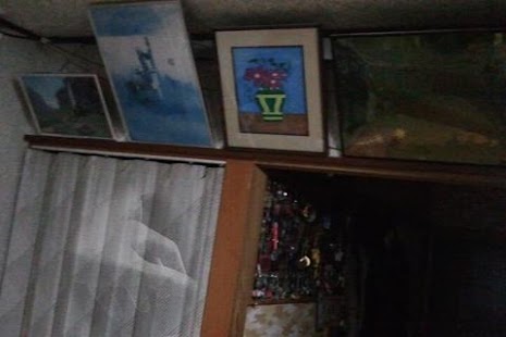 Free 心霊カメラ APK for PC