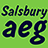 Salsbury FlipFont mobile app icon