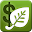 iHerb Rewards Download on Windows