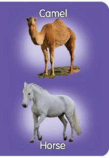 Domestic Animals Pre-School Screenshots 1