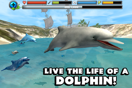 Dolphin Simulator