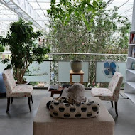 香草菲菲 芳香植物博物館