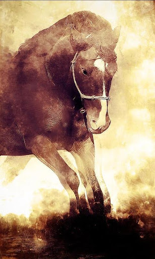 【免費攝影App】Horses Live Wallpaper-APP點子