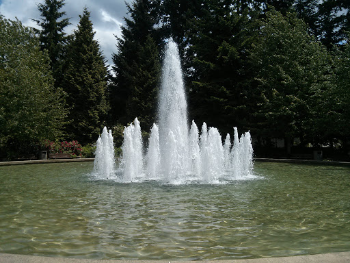 Microsoft Fountain 