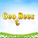 Geo Bees