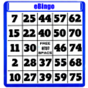 eBingo 5.1