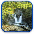 Forest Live Wallpaper Apk