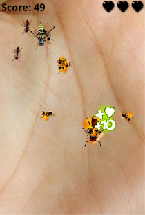 download Ant Smasher free