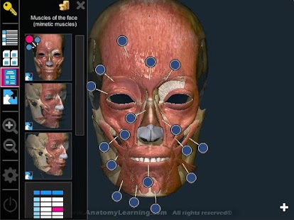  Anatomy Learning - 3D Atlas: miniatura de captura de pantalla  