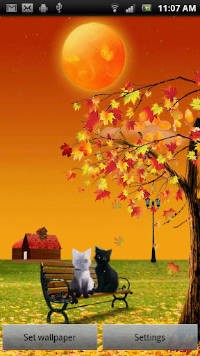 【免費個人化App】Two Cats Live Wallpaper-APP點子