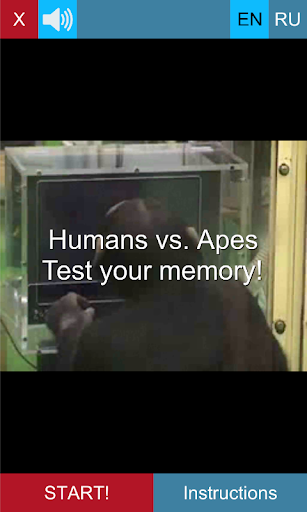 Humans vs. Apes
