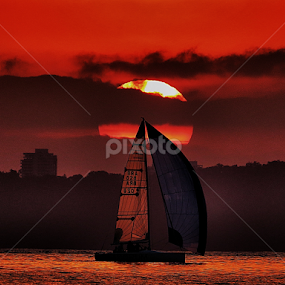 CORUM gliding through water by Edson Leguth - Transportation Boats