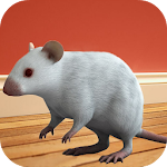 Cover Image of ダウンロード Newborn Mouse 2015 1.0 APK