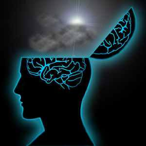 FlipHead Thought Stopping 1.02