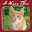 Love U : Photo Frames Download on Windows
