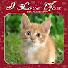 Love U : Photo Frames Application icon