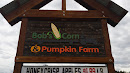 Bob's Corn And Pumpkin Farm