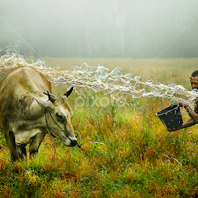 Morning Bath by Pimpin Nagawan - People Street & Candids