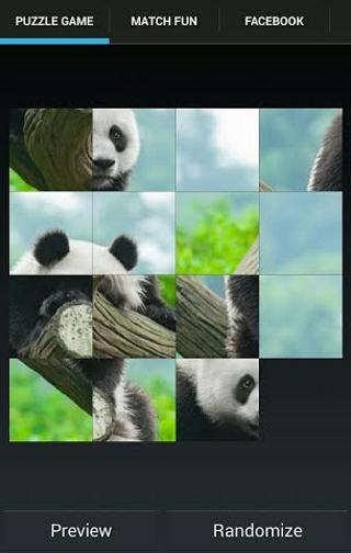 Panda Puzzle Pop