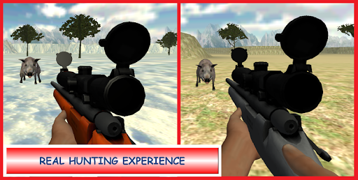 BOAR HUNTER SNIPER 3D