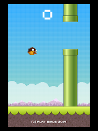 Flat Birds poster 13