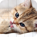 Cute Cat Sliding Puzzle Apk