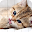 Cute Cat Sliding Puzzle Download on Windows