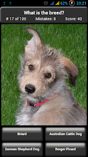  Dog Breed Quiz  