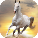 BEST HORSES LIVE WALLPAPER HD mobile app icon