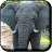Wild Animals Fun icon