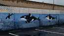 Orca Murals