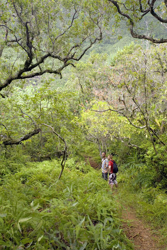 Tahitian-Hiking-Trails-Moorea - Come to Mo'orea prepared to hike through lush forests and valleys.
