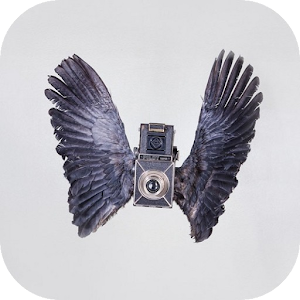 Birds Camera.apk FullVersion_V9