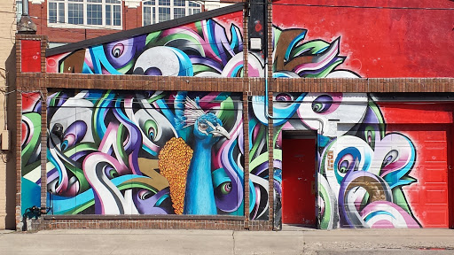 Peacock Graffiti
