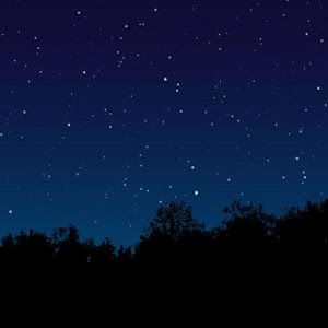 Star Teacher Online.apk 2.0
