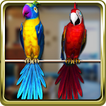 Cover Image of Tải xuống Talking Parrot Couple 1.0.4 APK